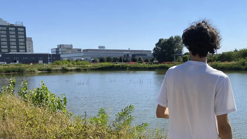 Il lago di Padova Est che sarà sfruttato per dare da bere alle piante di alto fusto che stanno morendo