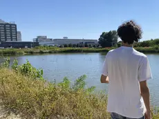 Il lago di Padova Est che sarà sfruttato per dare da bere alle piante di alto fusto che stanno morendo