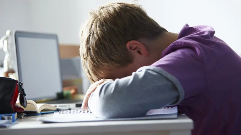 Tired Boy Studying In Bedroom