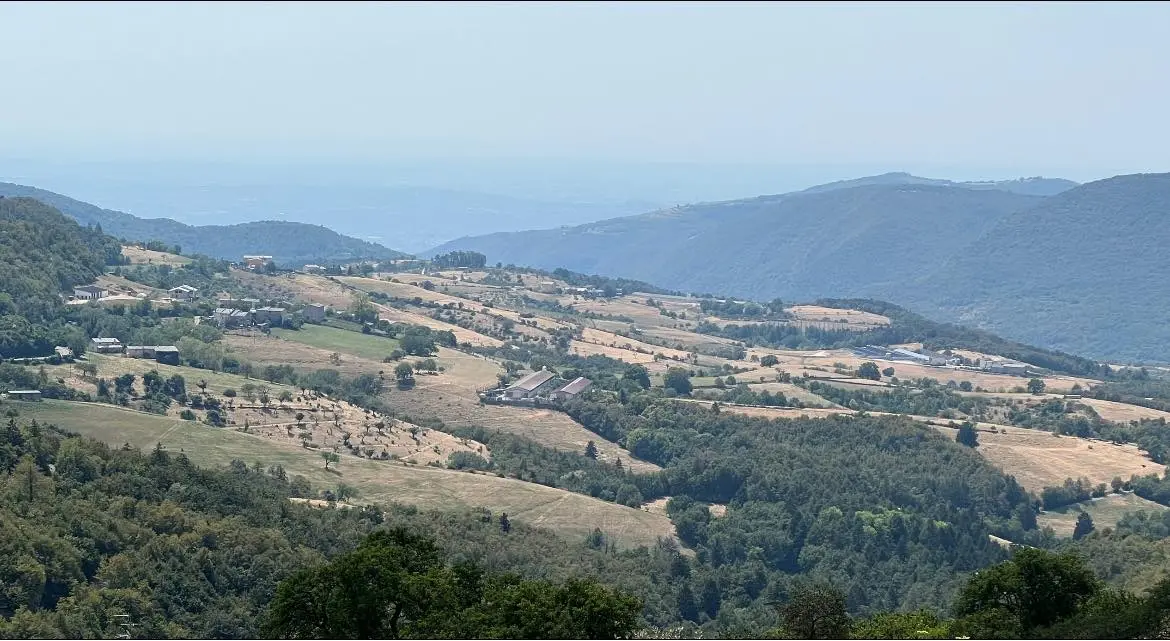 Prati per il pascolo in Lessinia ingialliti dall’ondata di caldo eccezionale di questi mesi