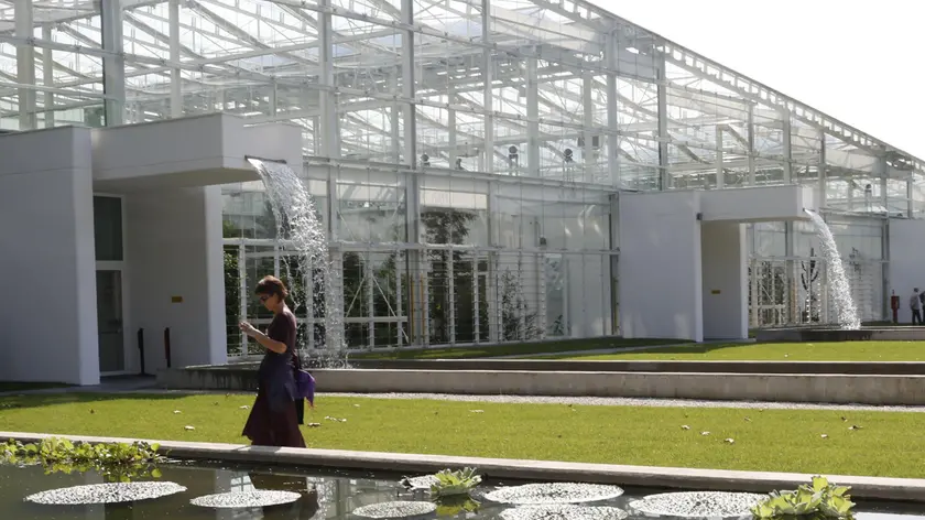 Il Giardino della Biodiversità tra le serre e la parte esterna