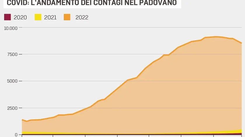 L'andamento dei contagi nel Padovano