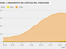 L'andamento dei contagi nel Padovano