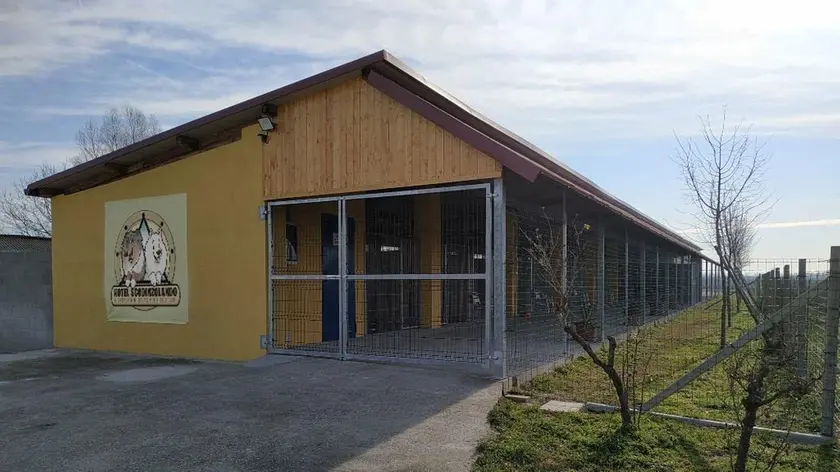 L'ex stalla diventata l'Hotel per cani "Scodinzolando"