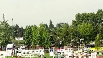 gare ippica Concorso Ippico Città di abano ROCCATO