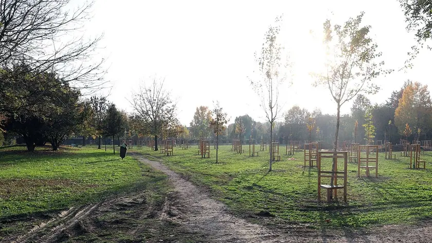 TOME' - AGENZIA BIANCHI - PADOVA - PARCO DEI SALICI