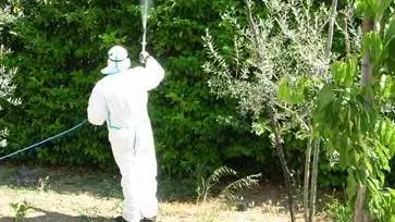 - Disinfestazione dalle zanzare