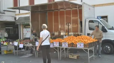 ARANCE DI SICILIA A KM ZERO. A Conselve un produttore agricolo vende una montagna di agrumi