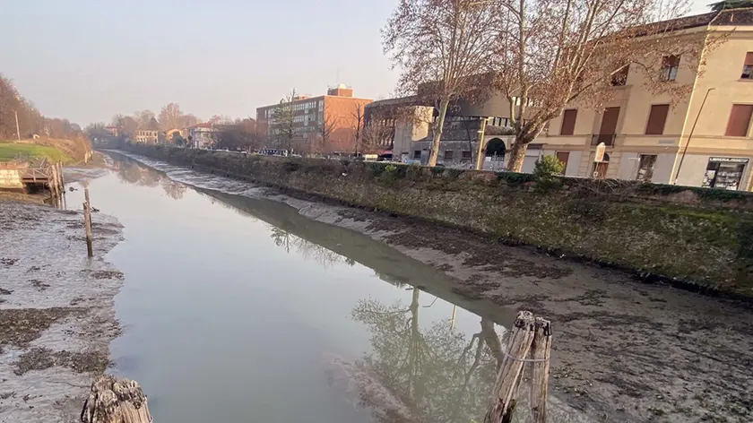 MALFITANO -AGENZIA BIANCHI-PADOVA - PIOVEGO IN SECCA