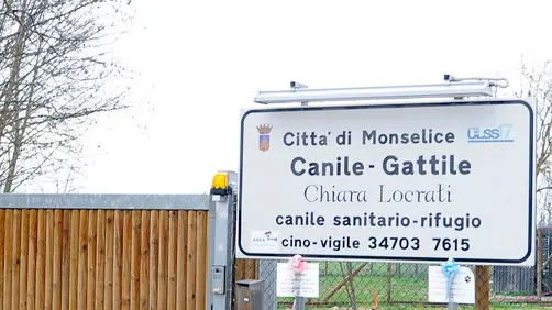 Monselice, 26.02.2014.Canile municipale "Chiara Locrati".Nella foto: l'ingresso.ph. Zangirolami