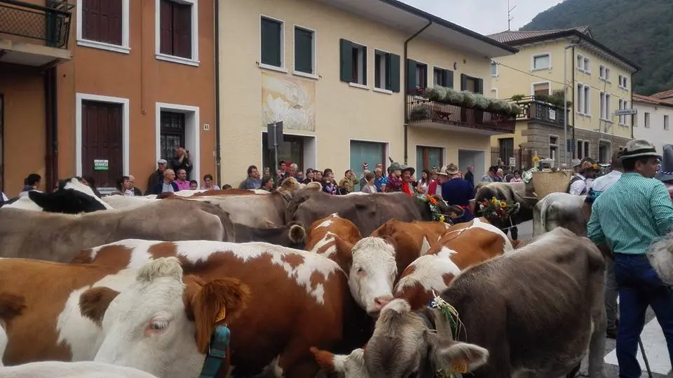 La desmontegada a Quero Vas, Belluno