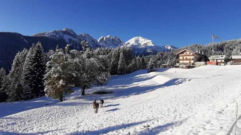 La neve a Sappade, presso Falcade