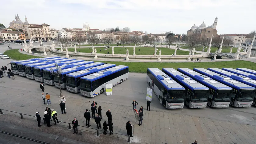 Padova, la nuova flotta di bus (foto bianchi)