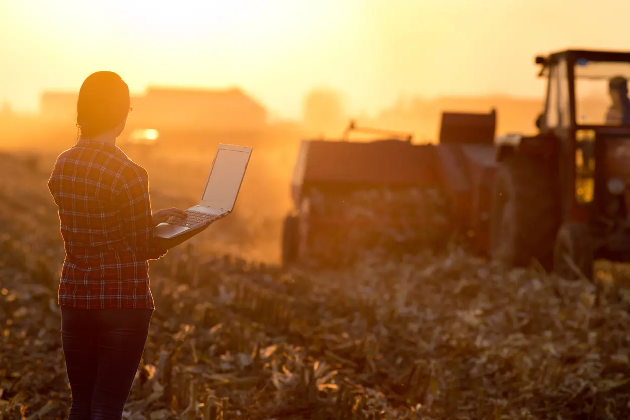 Young woman with laptop standing on field in sunset and looking at tractor baling