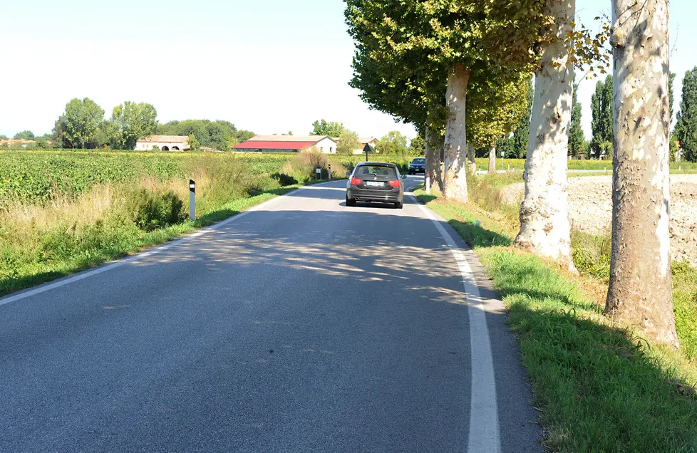 Cesaro, AG. ZANGIROLAMI, 06 Set 15 Incidente mortale di Matteo Bertoli di Conselve. Nella foto: nella semicurva, il terzo albero e' stato fatale e Matteo Ph. Zangirolami