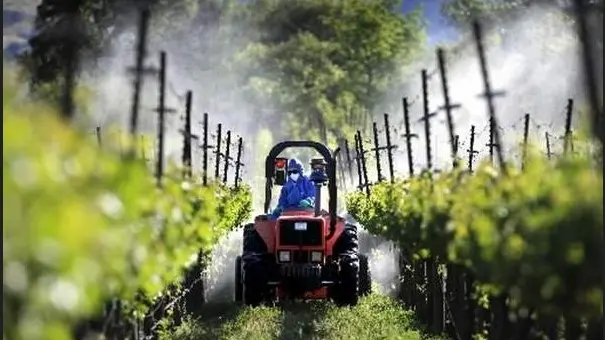 Vigne di prosecco irrorate di pesticidi in provincia di Treviso