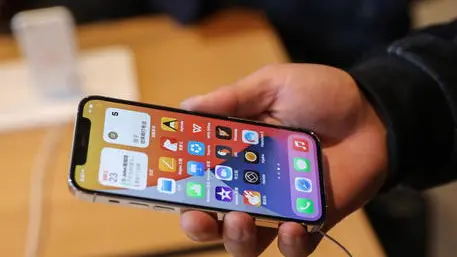 Il ragazzo a rintracciato la refurtiva grazie allo smartphone