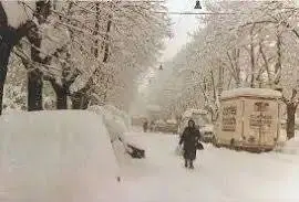 La nevicata del secolo a Treviso