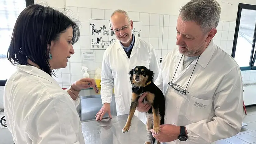 Servizio veterinario a Padova