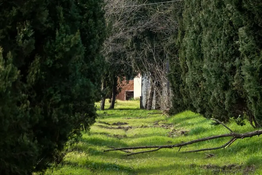 A Cinto Euganeo ecco le condizioni di villa Rodella, dove per anni ha vissuto l'allora presidente del Veneto Giancarlo Galan. Del lusso e degli sfarzi di quel periodo, nemmeno più l'ombra. Regnano incuria, muffe, il giardino incolto. La dimora ora è all'asta, due le onlus che se la stanno contendendo.