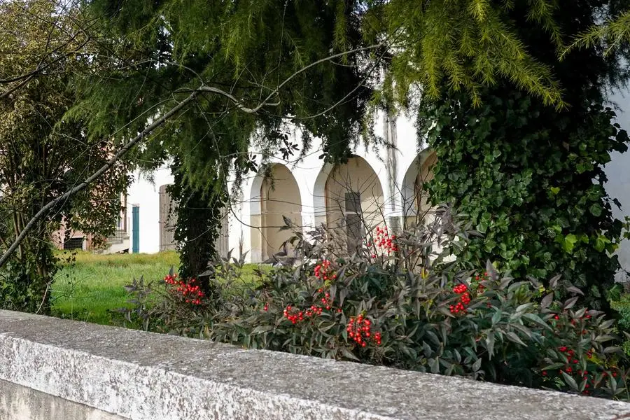 A Cinto Euganeo ecco le condizioni di villa Rodella, dove per anni ha vissuto l'allora presidente del Veneto Giancarlo Galan. Del lusso e degli sfarzi di quel periodo, nemmeno più l'ombra. Regnano incuria, muffe, il giardino incolto. La dimora ora è all'asta, due le onlus che se la stanno contendendo.