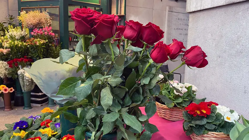 Rose rosse a gambo lungo in vendita a un banco di fiori