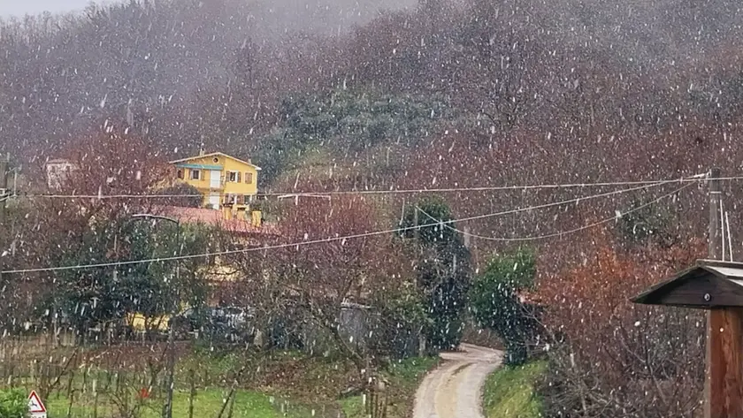 La neve scesa alle 13.45 di venerdì a Castelnuovo (foto Luca Tecchiato)