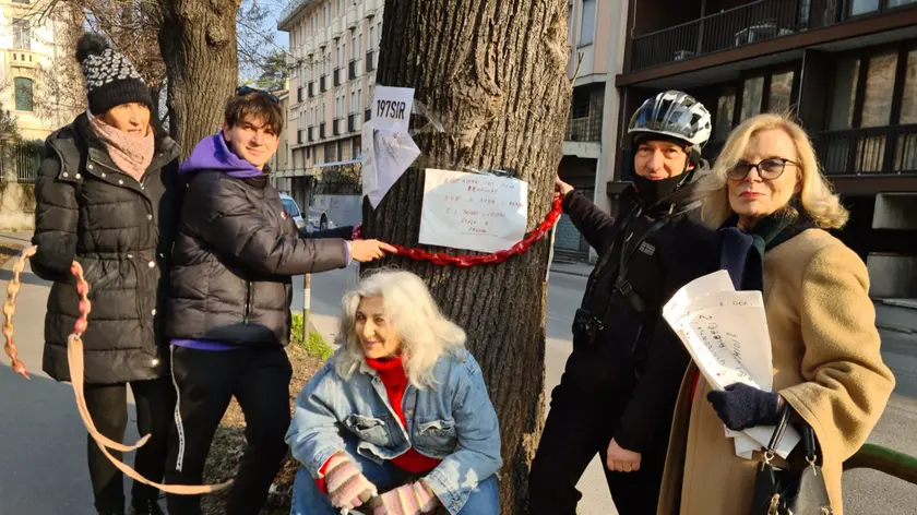 La protesta in via Falloppio a Padova contro il taglio degli alberi