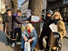 La protesta in via Falloppio a Padova contro il taglio degli alberi