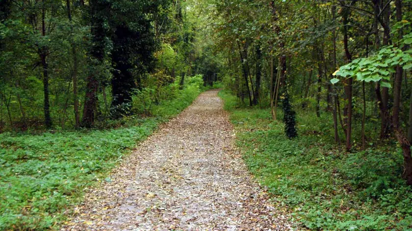 L'Università di Padova studia gli effetti benefici delle passeggiate nella natura