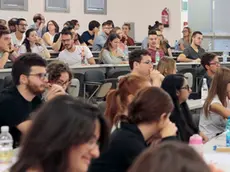 Attesa per i decreti attuative, le università avranno tempi stretti per adeguarsi