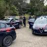 L'operazione dei carabinieri a Montegrotto