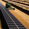 Un esempio di agrivoltaico, con i pannelli solari che permettono la coltivazione