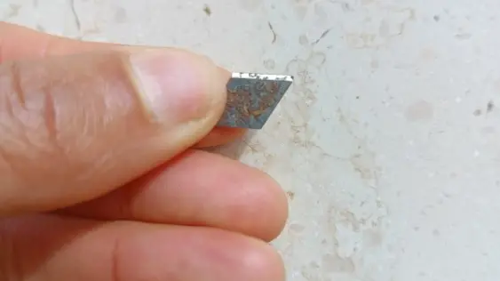 La lametta rinvenuta nel pane della mensa scolastica