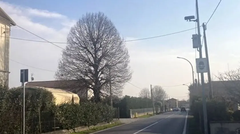 Il velox rimosso a Fontaniva