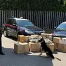 Maxi operazione antidroga, sequestrati oltre 79 chili di marijuana: arrestati padre e figlia