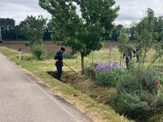 Il ritrovamento del coltello