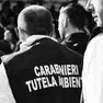 Operazione dei carabinieri di tutela ambientale