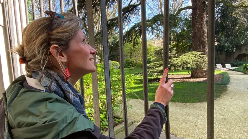 Anime Verdi 2025, Padova apre i suoi giardini segreti: 46 meraviglie da scoprire