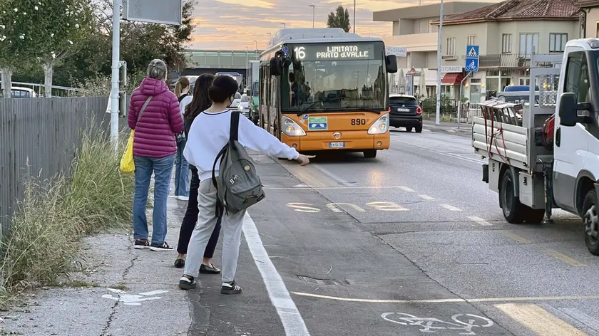 Bus gratis a Padova per gli universitari, progetto verso l'okay