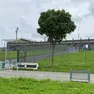 Lo stadio Euganeo dove il Padova spera di poter giocare anche le partite di B