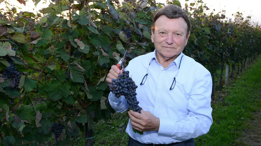 L'imprenditore vitivinicolo Piero Pittaro, scomparso un anno fa