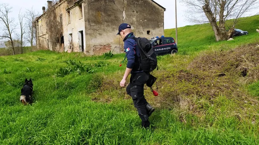 Sopralluogo dei carabinieri forestali lungo il corso di uno dei canali inquinati