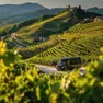 Bus a chiamata per visitare le colline Unesco