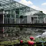 Tubo crolla all’Orto botanico di Padova