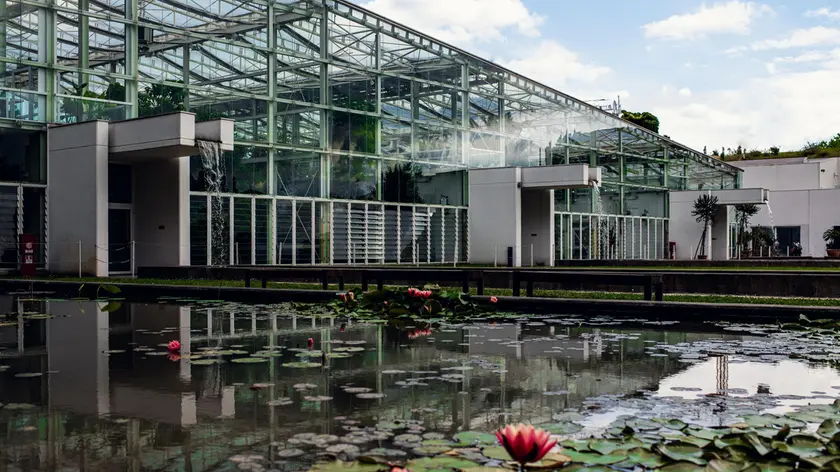 Tubo crolla all’Orto botanico di Padova