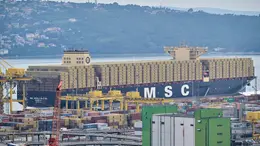 Una veduta del porto di Trieste (Silvano)