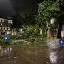 Alberi caduti in centro a Padova
