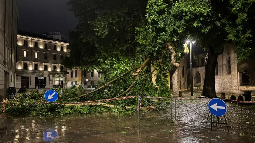Alberi caduti in centro a Padova
