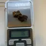 L'hashish sequestrato